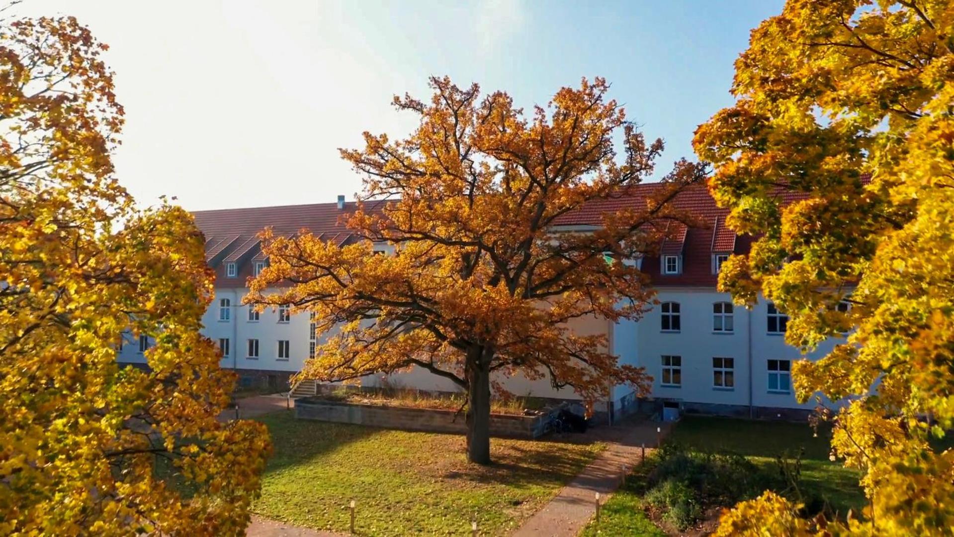 Apartment Parkresidenz Lychen, 1