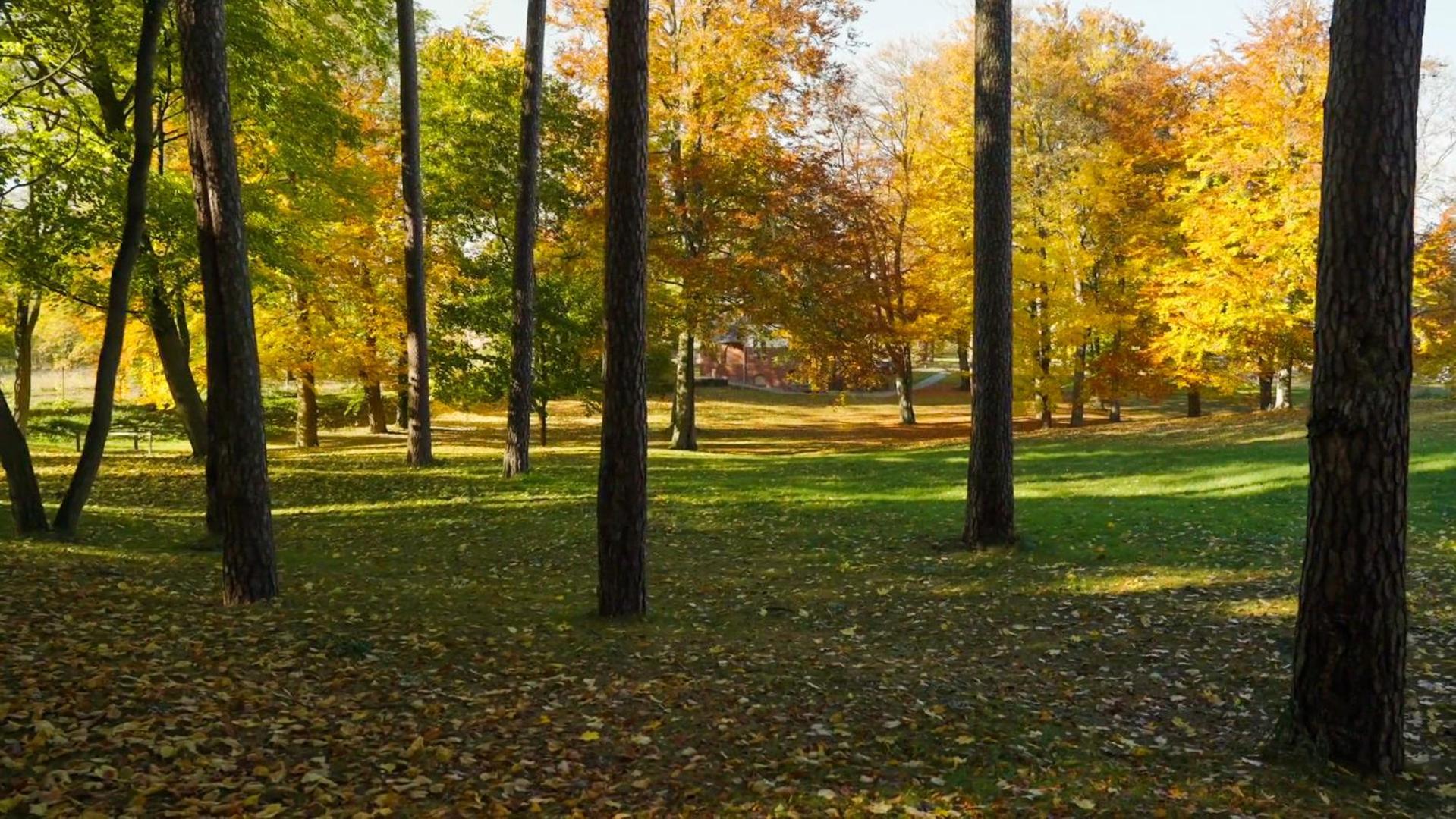 Parkresidenz Lychen, 1 * Lychen